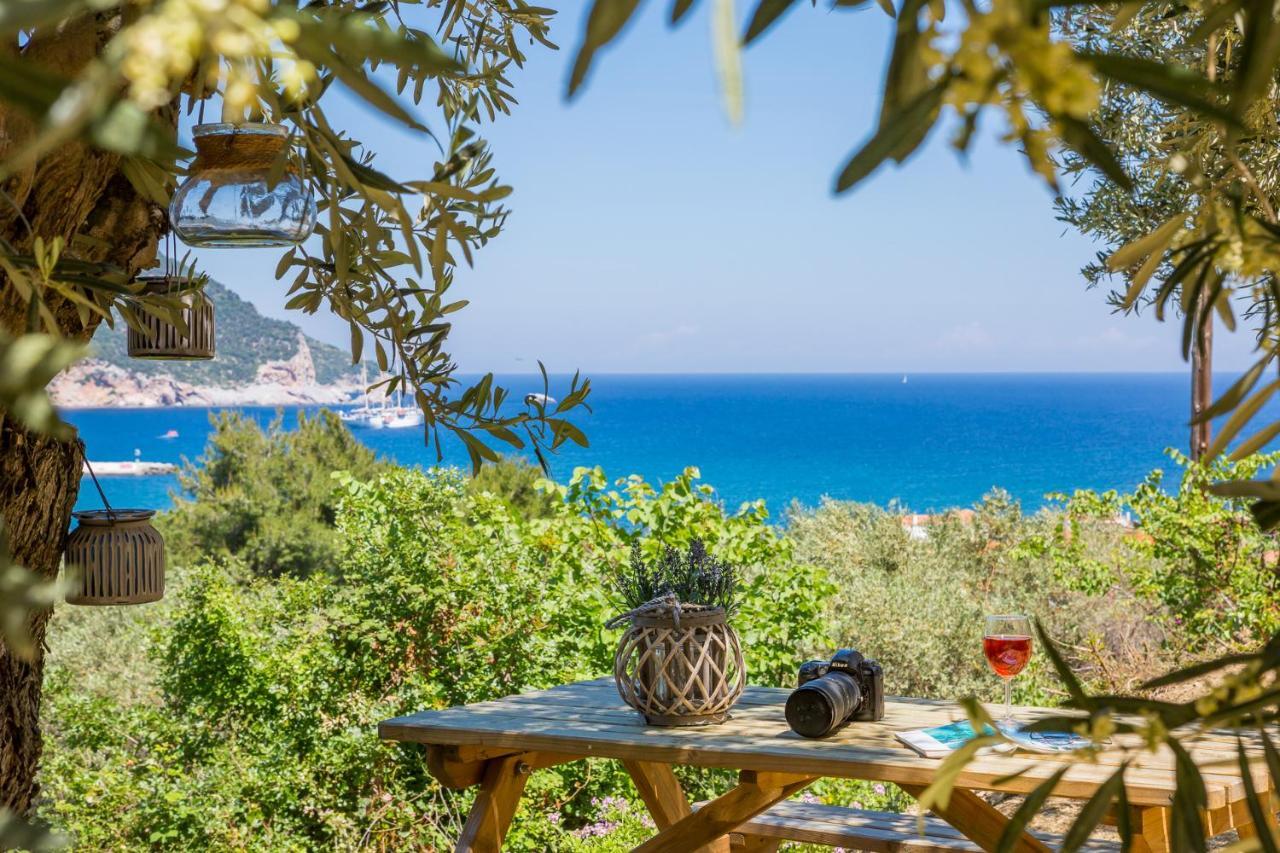 Olive Grove Apartment Skópelos Eksteriør bilde